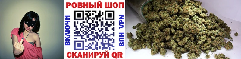 LSD-25 Правдинск