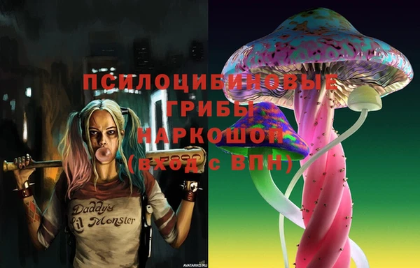 крисы Арсеньев