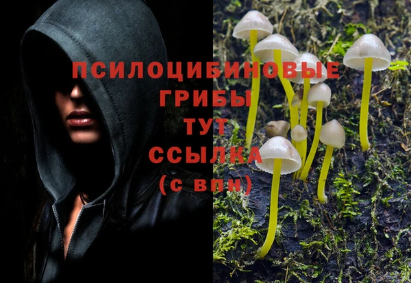 крисы Арсеньев