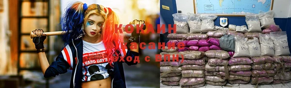 крисы Арсеньев