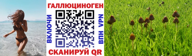 Галлюциногенные грибы Magic Shrooms  даркнет сайт  Правдинск 